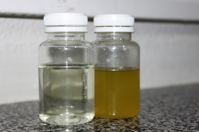 Amostra da esquerda (com líquido transparente) não está contaminada. A amostra da direita (com cor amarelada) está contaminada por Coliformes
